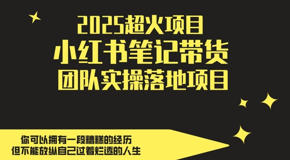 2025超火项目，副业最佳选择，小红书笔记带货团队实操落地项目，，轻松日入5张艾云项目网-专注分享网络创业项目落地实操课程 – 全网首发_高质量创业项目输出艾云项目网