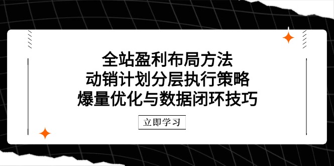 全站盈利布局方法：动销计划分层执行策略，爆量优化与数据闭环技巧艾云项目网-专注分享网络创业项目落地实操课程 – 全网首发_高质量创业项目输出艾云项目网