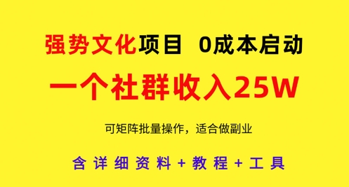 2025IP流量操盘手训练营，深入剖析商业IP操盘手职业发展(更新)艾云项目网-专注分享网络创业项目落地实操课程 – 全网首发_高质量创业项目输出艾云项目网