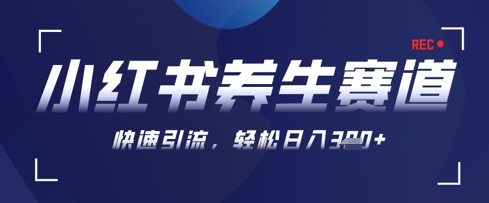 AI+可画生成小红书养生作品，新手暴力起号，矩阵操作，轻松日入3张+艾云项目网-专注分享网络创业项目落地实操课程 – 全网首发_高质量创业项目输出艾云项目网