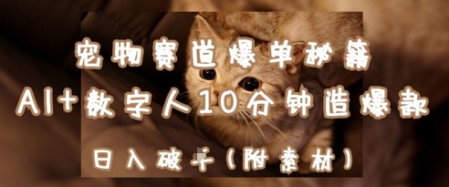 宠物赛道爆单秘籍：AI+数字人10分钟造爆款，日入1k艾云项目网-专注分享网络创业项目落地实操课程 – 全网首发_高质量创业项目输出艾云项目网